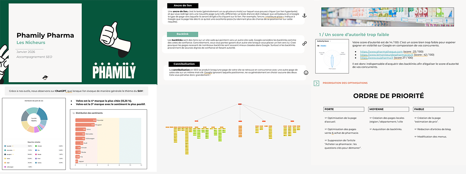 Extraits d'un rapport d'audit SEO réalisé par Les Nicheurs